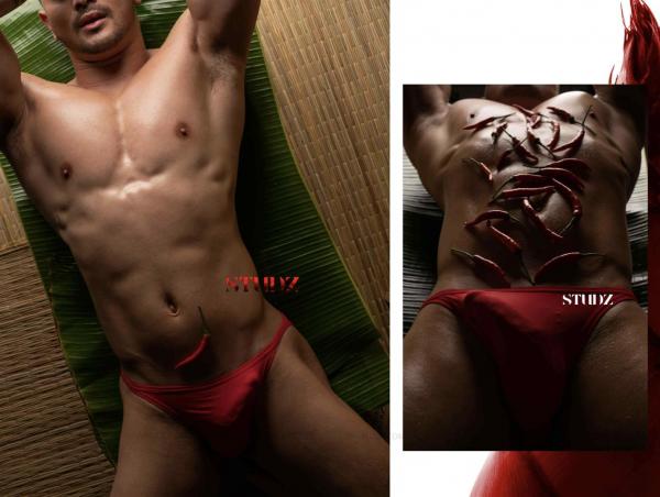 STUDZ-01--Zesty--Ebook--Video-